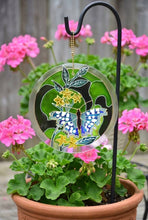 Blue Butterfly on Green Stained Glass Sun Catcher