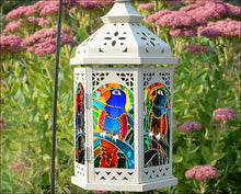 Macaw Parrot Lantern