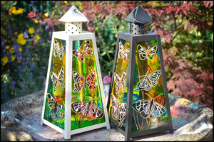 Beautiful Butterflies - Medium Lantern
