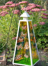 Beautiful Butterflies - Large Lantern