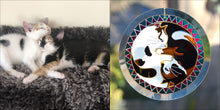 Personalised Yin Yang Cat Sun Catcher